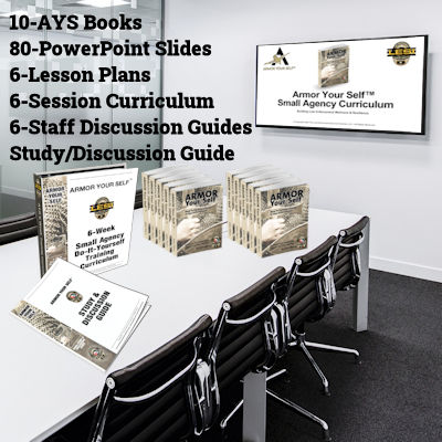 AYS Small Agency Curriculum Study